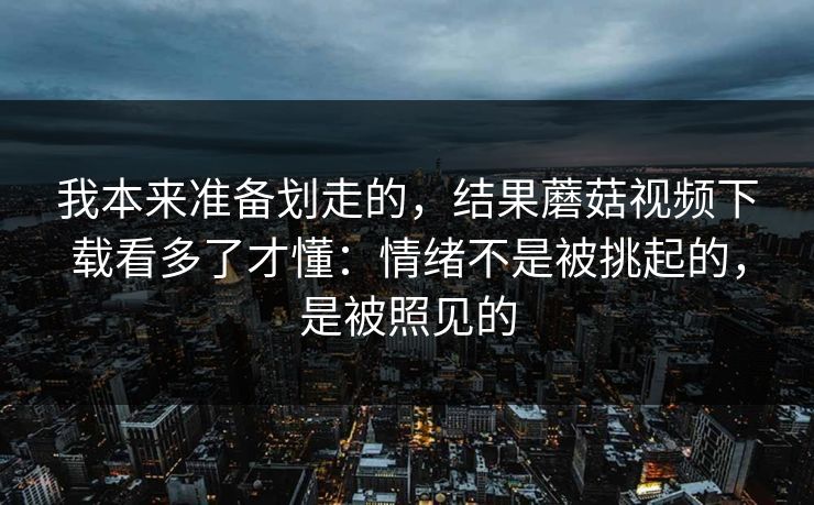 我本来准备划走的,结果蘑菇视频下载看多了才懂:情绪不是被挑起的,是被照见的 我本来准备划走的,结果蘑菇视频下载看多了才懂:情绪不是被挑起的,是被照见的