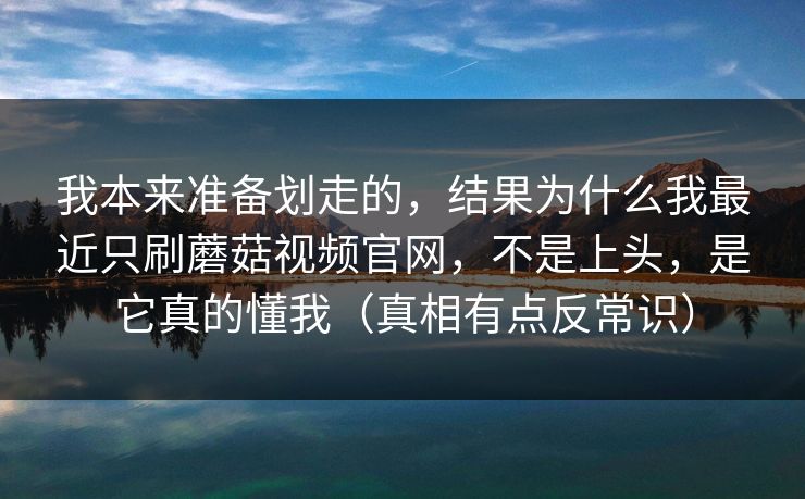 我本来准备划走的，结果为什么我最近只刷蘑菇视频官网，不是上头，是它真的懂我（真相有点反常识）