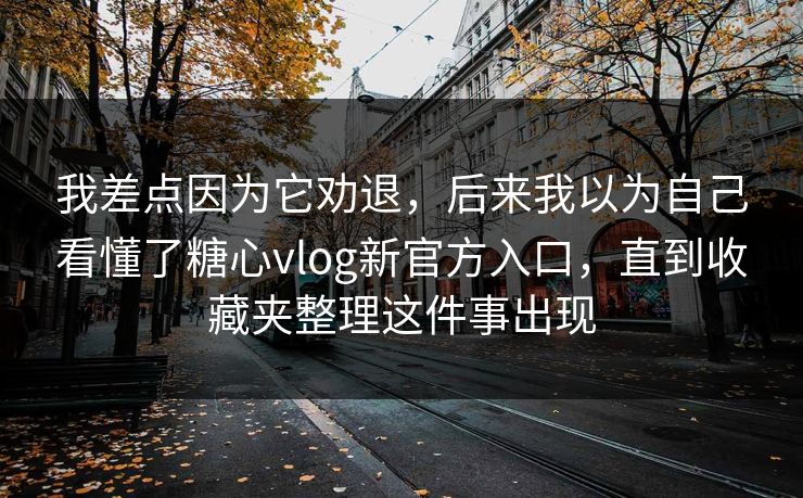我差点因为它劝退,后来我以为自己看懂了糖心vlog新官方入口,直到收藏夹整理这件事出现