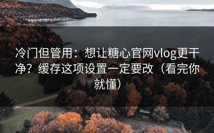 冷门但管用：想让糖心官网vlog更干净？缓存这项设置一定要改（看完你就懂）