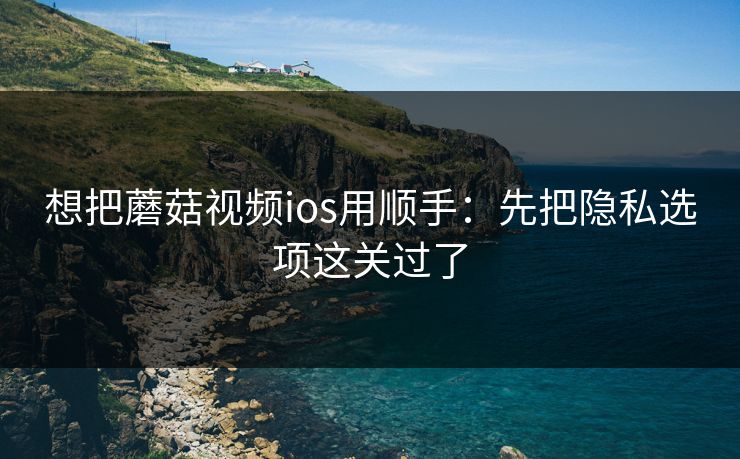 想把蘑菇视频ios用顺手：先把隐私选项这关过了